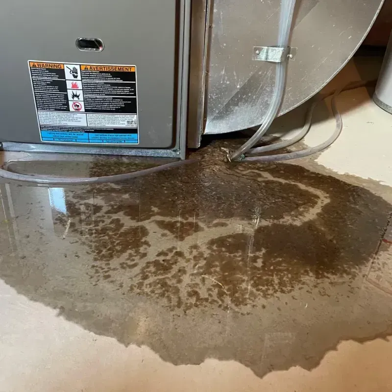 Appliance Leak Cleanup in West Reading, PA